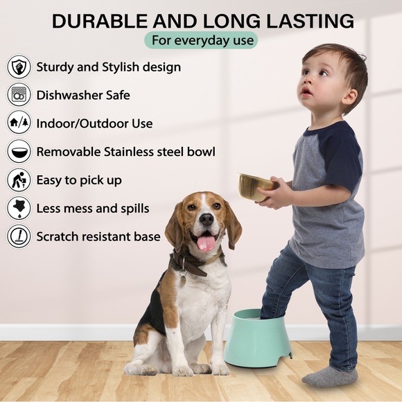 Elevated Gold Stainless Steel Dog Pet Bowl Mint Green Raises - Picture 4 of 8